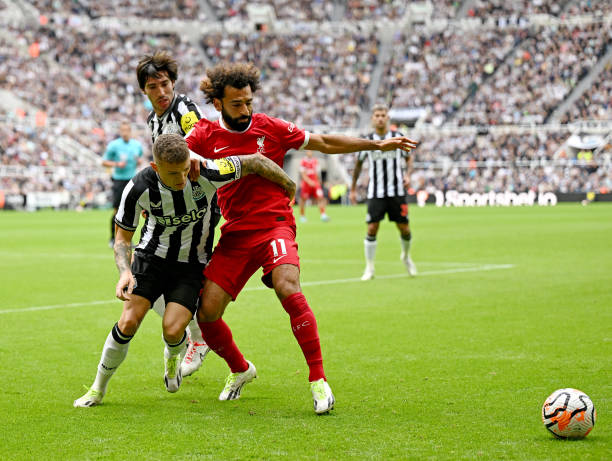 技可以说是 技可以说是