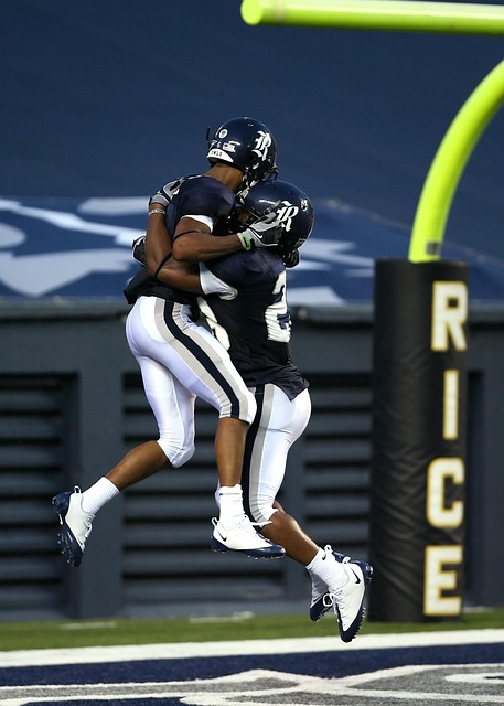 的心理素质 的心理素质