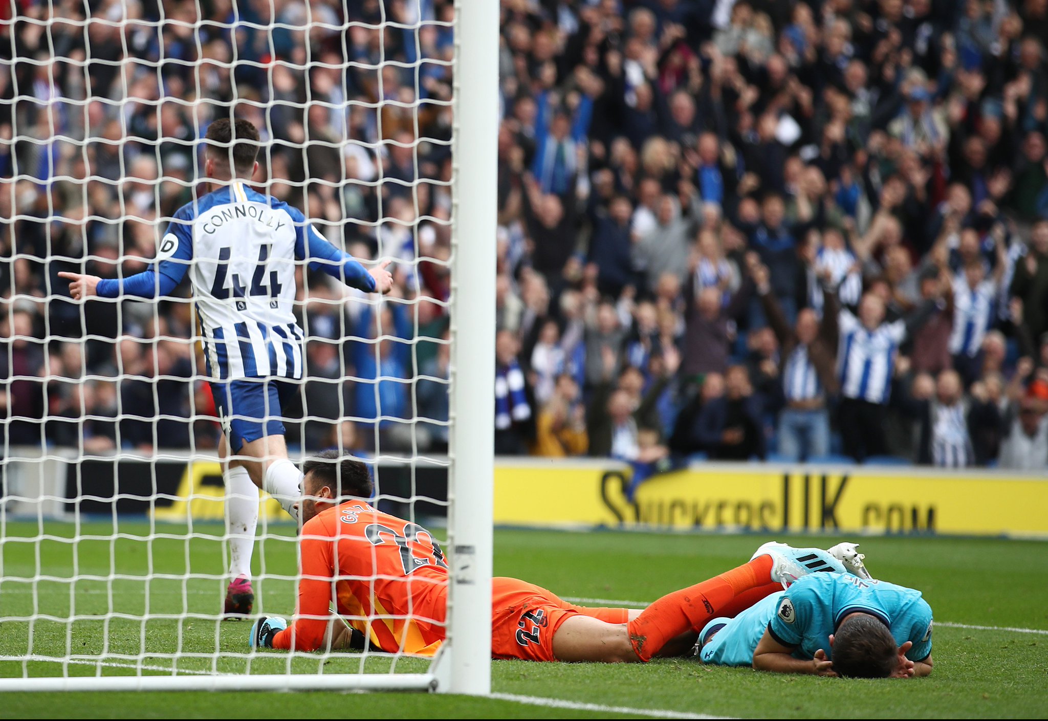 他们不仅建 他们不仅建