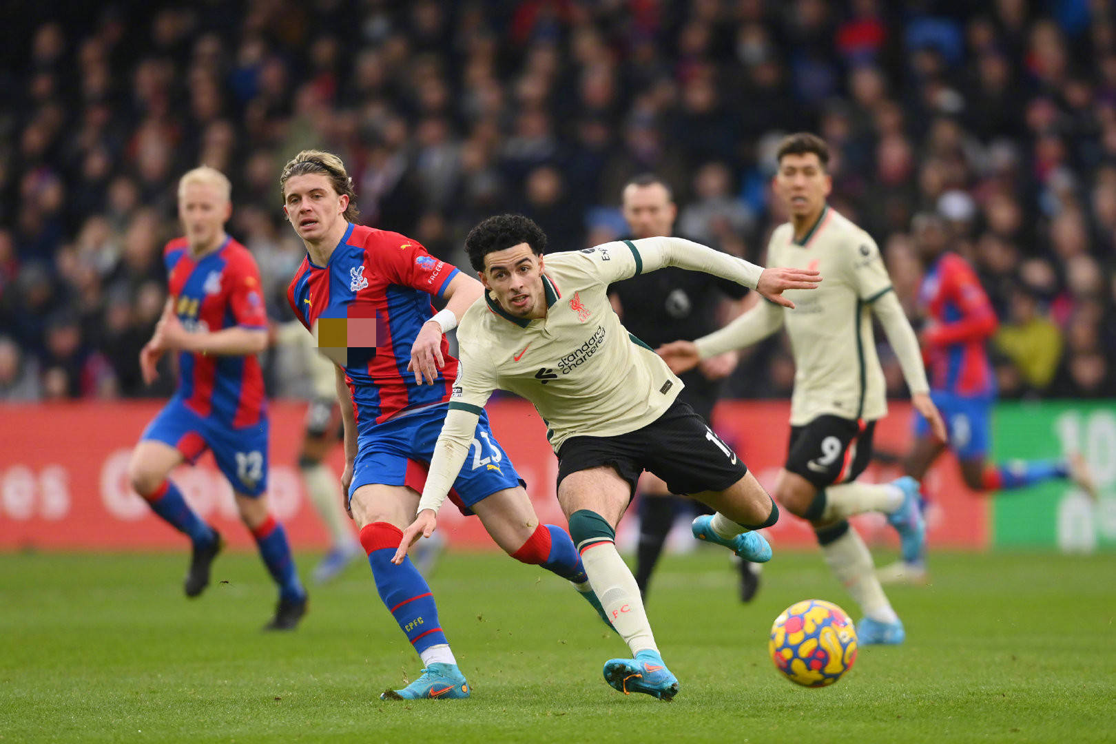 悉心培养的 悉心培养的