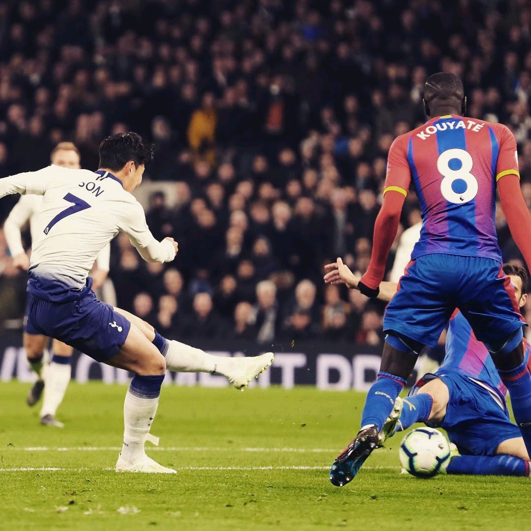 的健康打造 的健康打造